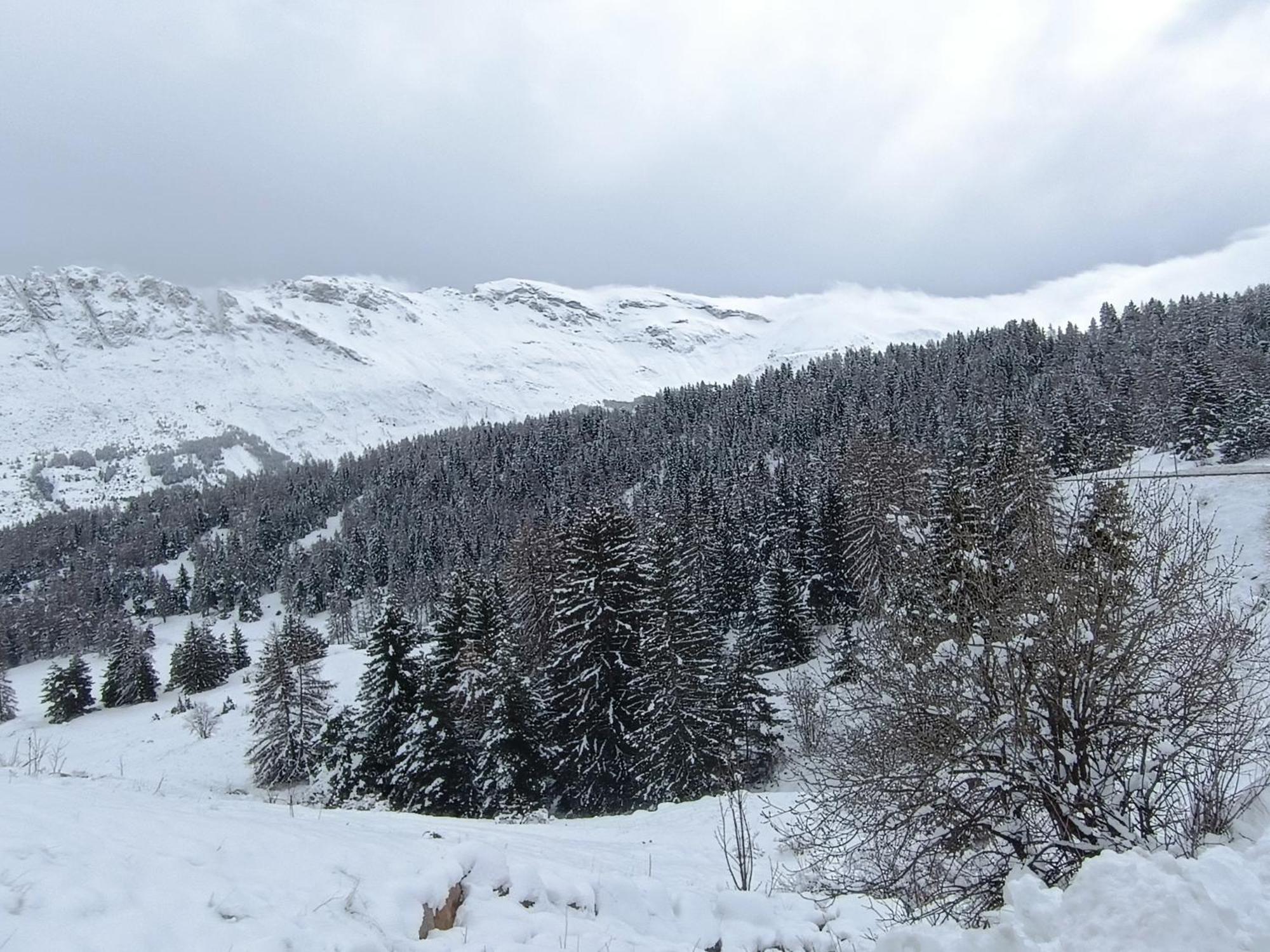Appartement Cosy Dans Chalet Vue Montagne Saint-Étienne-en-Dévoluy Eksteriør bilde